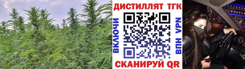 ТГК концентрат  Собинка 