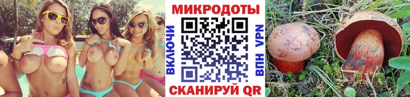 наркотики  Собинка  Псилоцибиновые грибы Psilocybine cubensis 